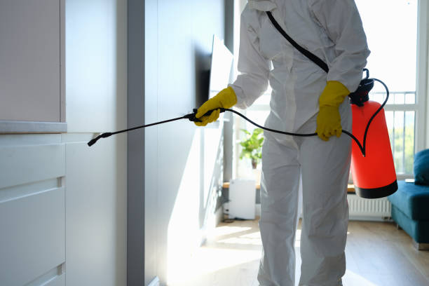 Best Emergency Mold Removal  in Flemington, NJ
