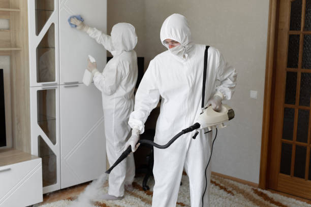 Best Local Mold Removal Service  in Flemington, NJ