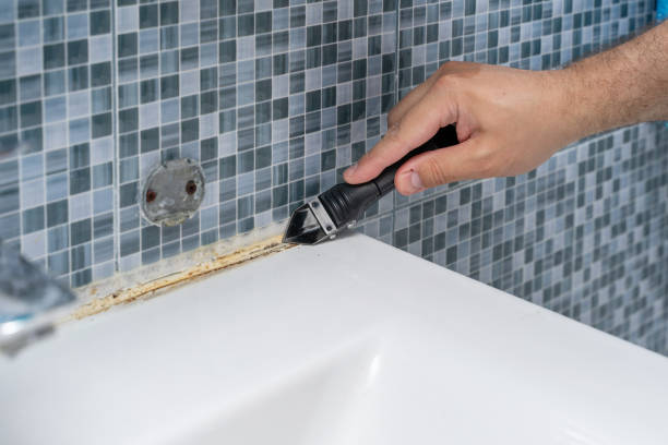 Best Black Mold Removal  in Flemington, NJ